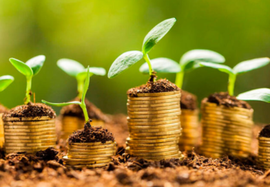 Best Green Businesses of 2023