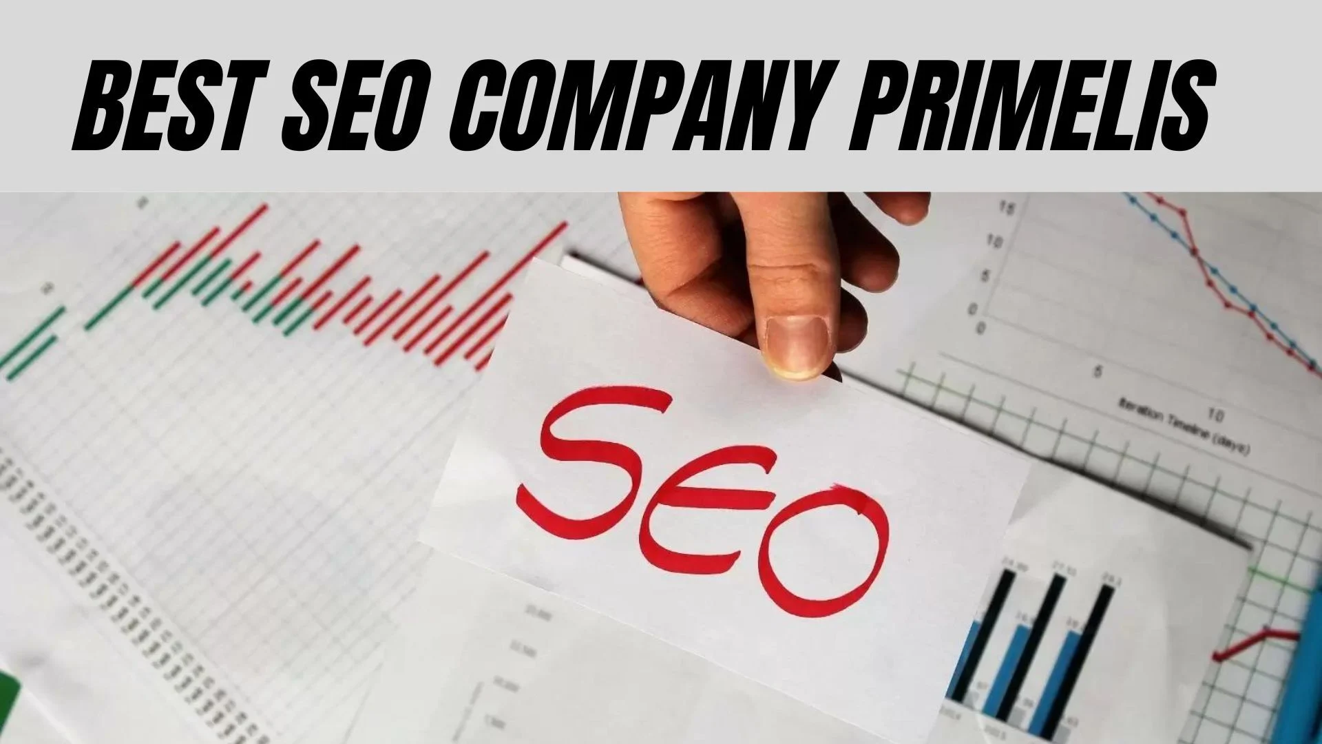 seo services primelis